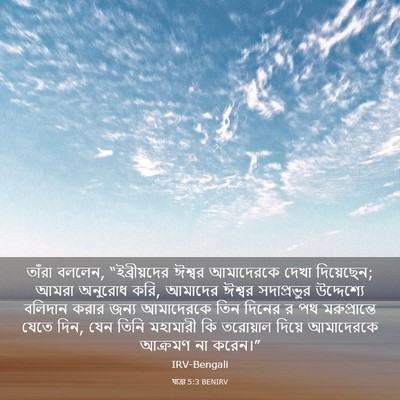 Picture 03 - যাত্ৰা 5:3 BENIRV - তাঁরা বললেন, - Bible Verse Picture