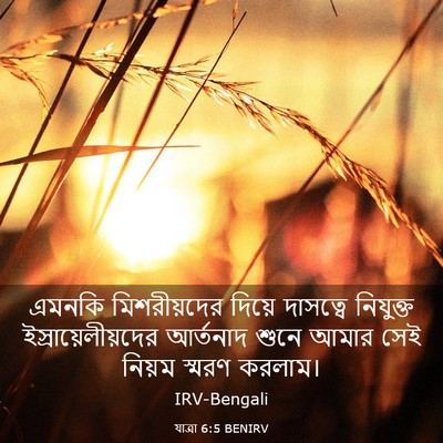 Picture 03 - যাত্ৰা 6:5 BENIRV - এমনকি মিশরীয়দের - Bible Verse Picture