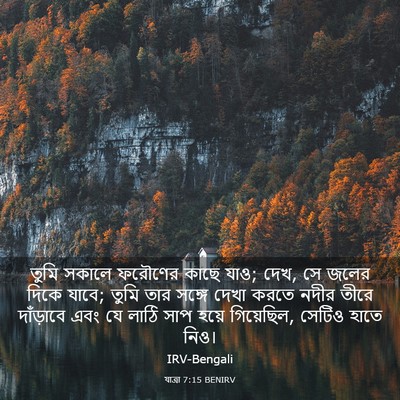 Picture 03 - যাত্ৰা 7:15 BENIRV - তুমি সকালে ফরৌণের - Bible Verse Picture