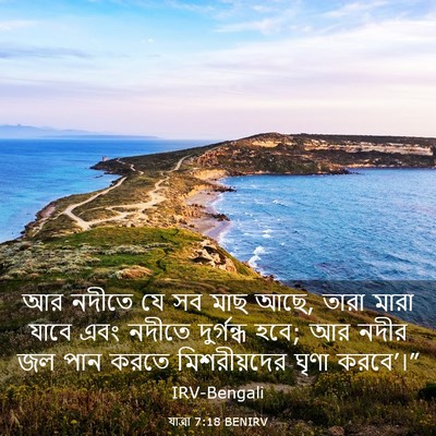 Picture 03 - যাত্ৰা 7:18 BENIRV - আর নদীতে যে সব মাছ - Bible Verse Picture
