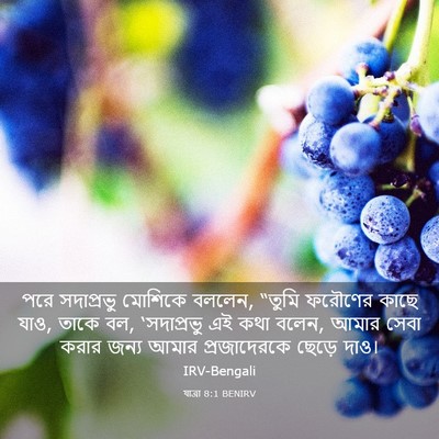 Picture 03 - যাত্ৰা 8:1 BENIRV - পরে সদাপ্রভু - Bible Verse Picture