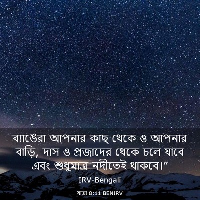 Picture 03 - যাত্ৰা 8:11 BENIRV - ব্যাঙেরা আপনার - Bible Verse Picture
