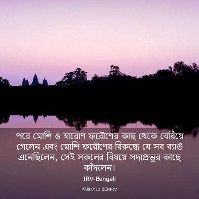 Picture 03 - যাত্ৰা 8:12 BENIRV - পরে মোশি ও হারোণ - Bible Verse Picture