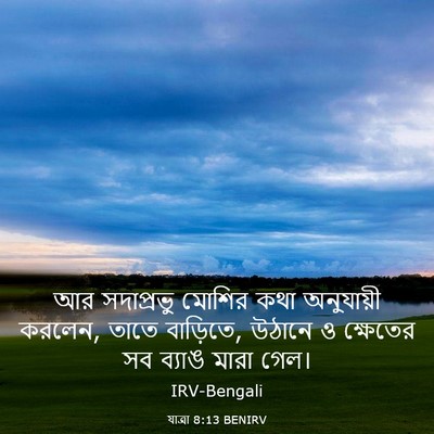 Picture 03 - যাত্ৰা 8:13 BENIRV - আর সদাপ্রভু মোশির - Bible Verse Picture