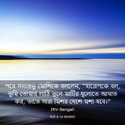 Picture 03 - যাত্ৰা 8:16 BENIRV - পরে সদাপ্রভু - Bible Verse Picture