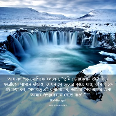 Picture 03 - যাত্ৰা 8:20 BENIRV - আর সদাপ্রভু - Bible Verse Picture