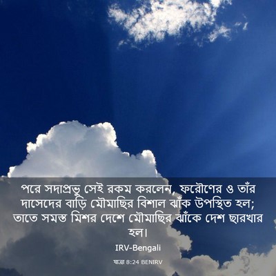 Picture 03 - যাত্ৰা 8:24 BENIRV - পরে সদাপ্রভু সেই - Bible Verse Picture
