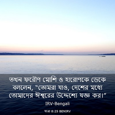 Picture 03 - যাত্ৰা 8:25 BENIRV - তখন ফরৌণ মোশি ও - Bible Verse Picture
