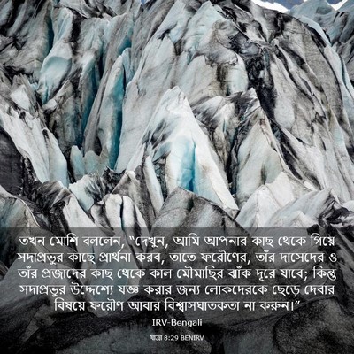 Picture 03 - যাত্ৰা 8:29 BENIRV - তখন মোশি বললেন, - Bible Verse Picture