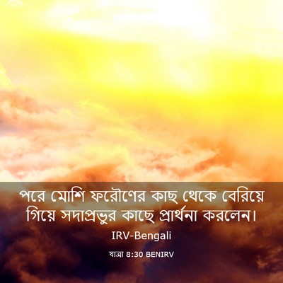 Picture 03 - যাত্ৰা 8:30 BENIRV - পরে মোশি ফরৌণের - Bible Verse Picture