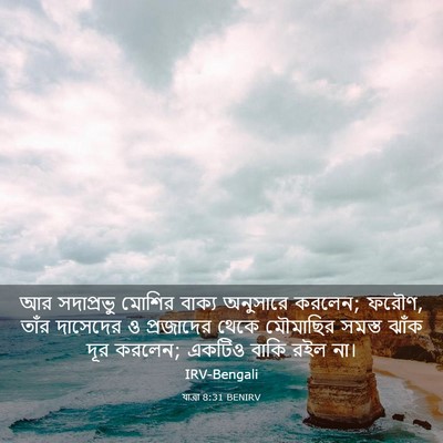 Picture 03 - যাত্ৰা 8:31 BENIRV - আর সদাপ্রভু মোশির - Bible Verse Picture