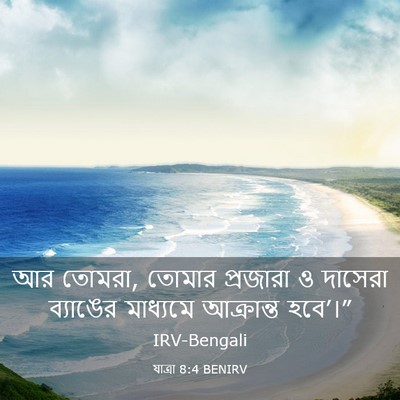Picture 03 - যাত্ৰা 8:4 BENIRV - আর তোমরা, তোমার - Bible Verse Picture