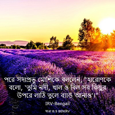 Picture 03 - যাত্ৰা 8:5 BENIRV - পরে সদাপ্রভু - Bible Verse Picture