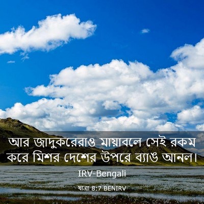 Picture 03 - যাত্ৰা 8:7 BENIRV - আর জাদুকরেরাও - Bible Verse Picture