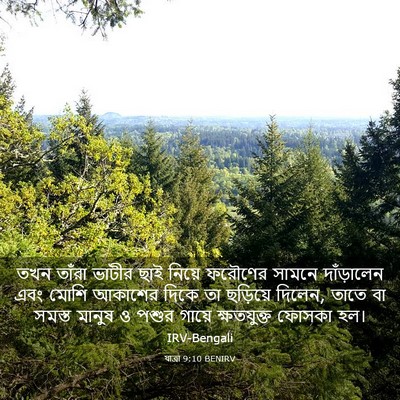 Picture 03 - যাত্ৰা 9:10 BENIRV - তখন তাঁরা ভাটীর - Bible Verse Picture