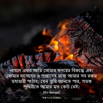 Picture 03 - যাত্ৰা 9:14 BENIRV - নাহলে এবার আমি - Bible Verse Picture