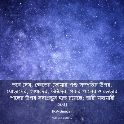 Picture 03 - যাত্ৰা 9:3 BENIRV - তবে দেখ, ক্ষেতের - Bible Verse Picture
