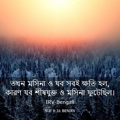 Picture 03 - যাত্ৰা 9:31 BENIRV - তখন মসিনা ও যব সবই - Bible Verse Picture