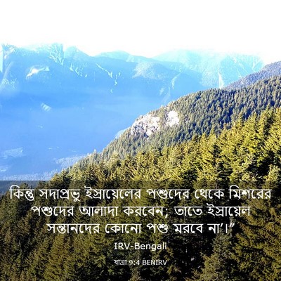 Picture 03 - যাত্ৰা 9:4 BENIRV - কিন্তু সদাপ্রভু - Bible Verse Picture