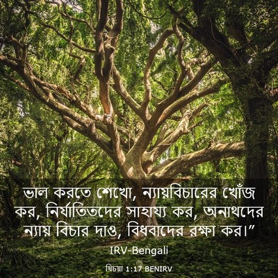 Picture 03 - যিচয়া 1:17 BENIRV - ভাল করতে শেখো, - Bible Verse Picture