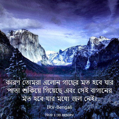 Picture 03 - যিচয়া 1:30 BENIRV - কারণ তোমরা এলোন - Bible Verse Picture