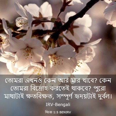 Picture 03 - যিচয়া 1:5 BENIRV - তোমরা এখনও কেন আর - Bible Verse Picture