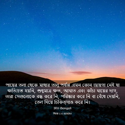 Picture 03 - যিচয়া 1:6 BENIRV - পায়ের তলা থেকে - Bible Verse Picture