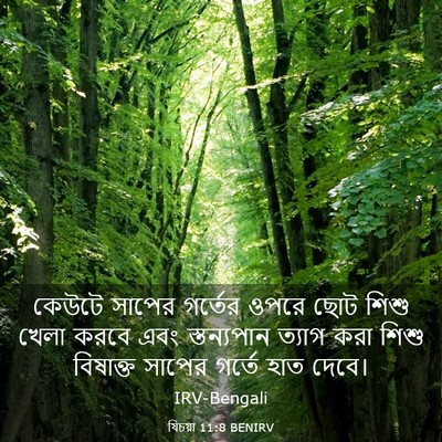 Picture 03 - যিচয়া 11:8 BENIRV - কেউটে সাপের - Bible Verse Picture