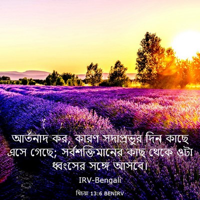 Picture 03 - যিচয়া 13:6 BENIRV - আর্তনাদ কর, কারণ - Bible Verse Picture