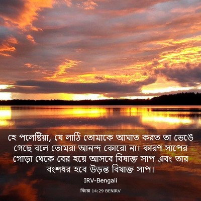 Picture 03 - যিচয়া 14:29 BENIRV - হে পলেষ্টিয়া, যে - Bible Verse Picture