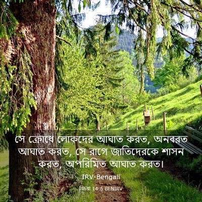 Picture 03 - যিচয়া 14:6 BENIRV - সে ক্রোধে লোকদের - Bible Verse Picture