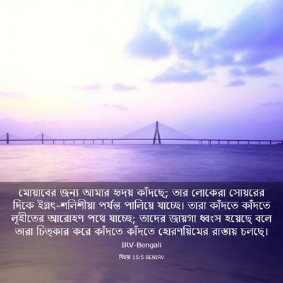 Picture 03 - যিচয়া 15:5 BENIRV - মোয়াবের জন্য - Bible Verse Picture