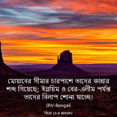 Picture 03 - যিচয়া 15:8 BENIRV - মোয়াবের সীমার - Bible Verse Picture