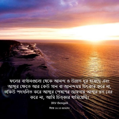 Picture 03 - যিচয়া 16:10 BENIRV - ফলের বাগানগুলো - Bible Verse Picture