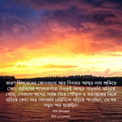 Picture 03 - যিচয়া 16:8 BENIRV - কারণ হিশবোনের - Bible Verse Picture