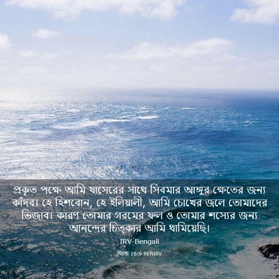 Picture 03 - যিচয়া 16:9 BENIRV - প্রকৃত পক্ষে আমি - Bible Verse Picture