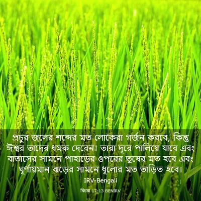 Picture 03 - যিচয়া 17:13 BENIRV - প্রচুর জলের - Bible Verse Picture