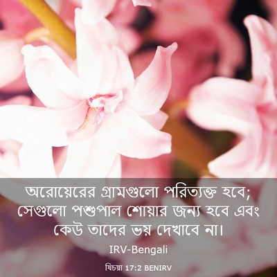 Picture 03 - যিচয়া 17:2 BENIRV - অরোয়েরের - Bible Verse Picture