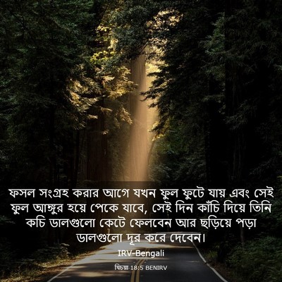 Picture 03 - যিচয়া 18:5 BENIRV - ফসল সংগ্রহ করার - Bible Verse Picture