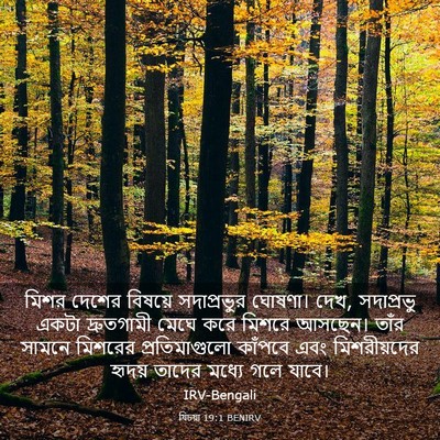 Picture 03 - যিচয়া 19:1 BENIRV - মিশর দেশের বিষয়ে - Bible Verse Picture