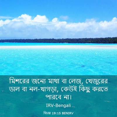 Picture 03 - যিচয়া 19:15 BENIRV - মিশরের জন্যে মাথা - Bible Verse Picture