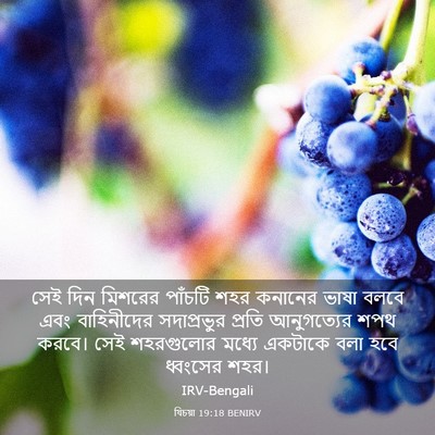 Picture 03 - যিচয়া 19:18 BENIRV - সেই দিন মিশরের - Bible Verse Picture
