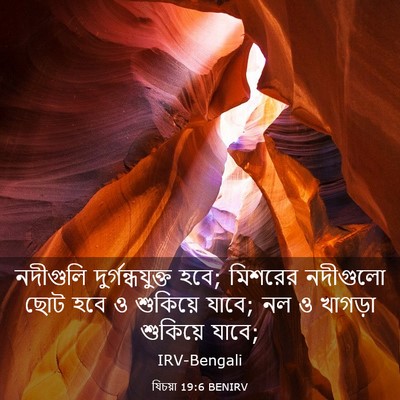 Picture 03 - যিচয়া 19:6 BENIRV - নদীগুলি - Bible Verse Picture