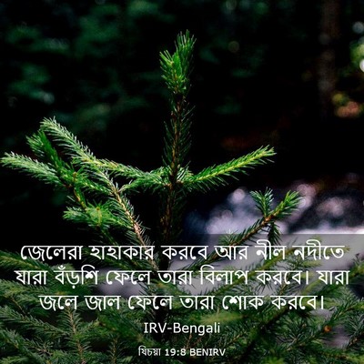 Picture 03 - যিচয়া 19:8 BENIRV - জেলেরা হাহাকার - Bible Verse Picture