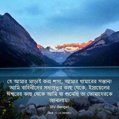 Picture 03 - যিচয়া 21:10 BENIRV - হে আমার মাড়াই করা - Bible Verse Picture