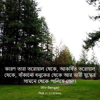 Picture 03 - যিচয়া 21:15 BENIRV - কারণ তারা তরোয়াল - Bible Verse Picture