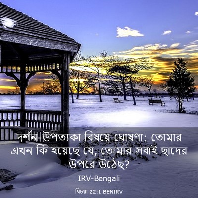 Picture 03 - যিচয়া 22:1 BENIRV - দর্শন-উপত্যকা - Bible Verse Picture