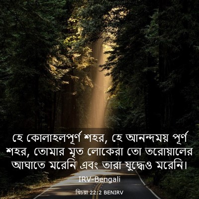 Picture 03 - যিচয়া 22:2 BENIRV - হে কোলাহলপূর্ণ - Bible Verse Picture