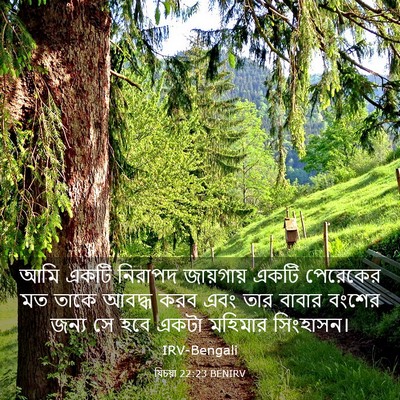 Picture 03 - যিচয়া 22:23 BENIRV - আমি একটি নিরাপদ - Bible Verse Picture