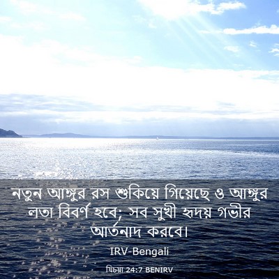 Picture 03 - যিচয়া 24:7 BENIRV - নতুন আঙ্গুর রস - Bible Verse Picture
